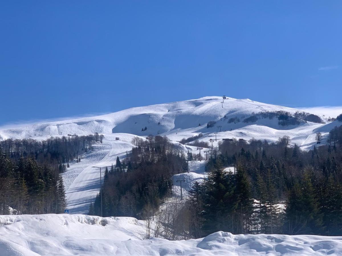 Modern Mountain Hotel 4*